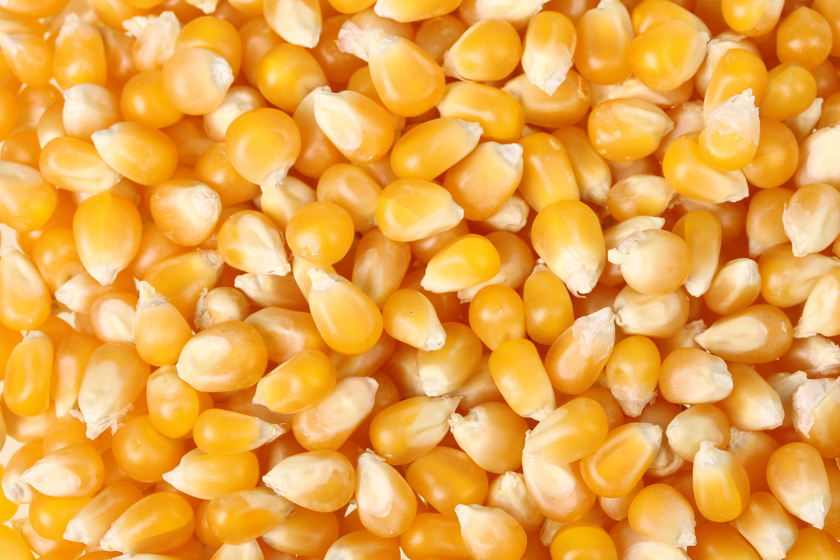 Untersuchung von Futter- und Düngemitteln