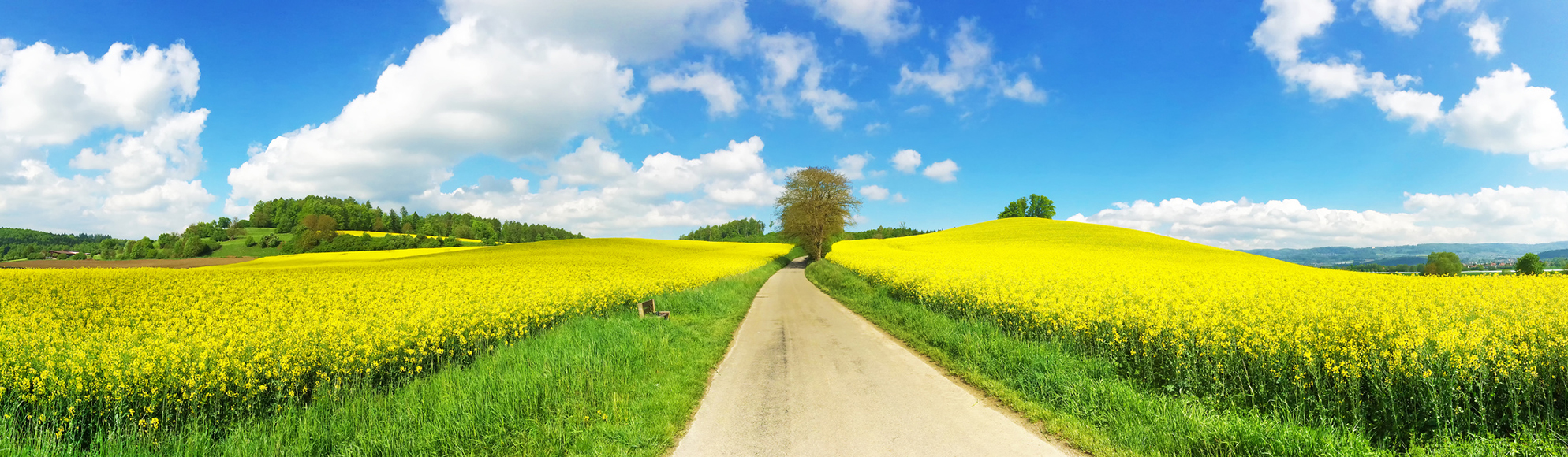 Beprobung von Ackerflächen, Wiesen und Sonderkulturen
