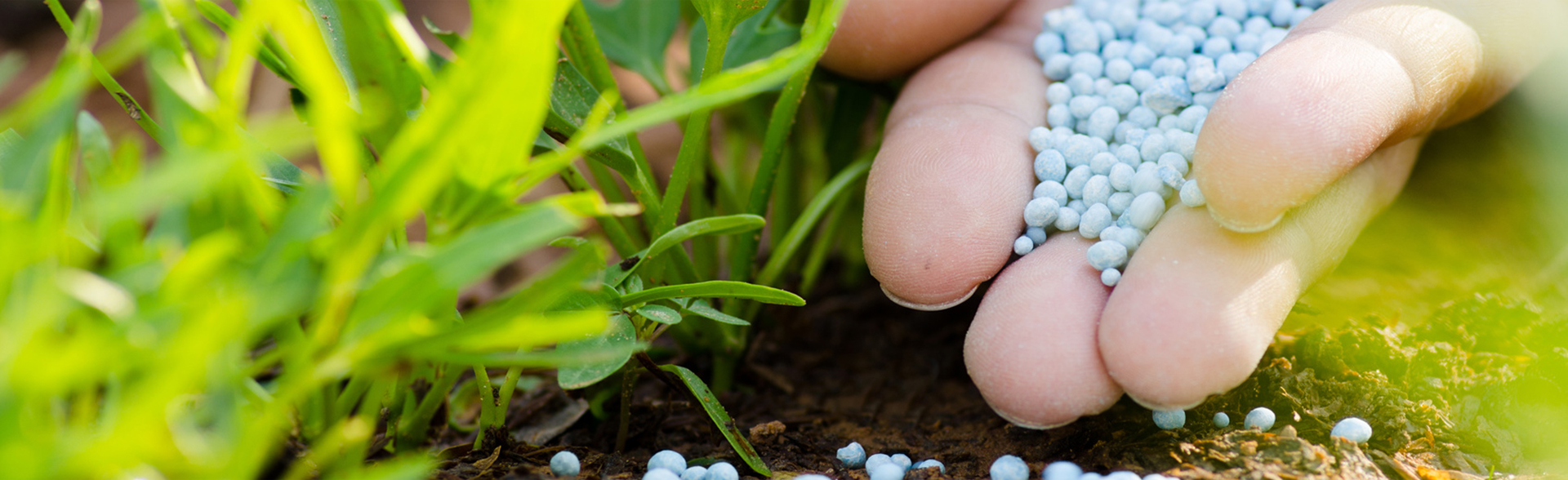 Düngeempfehlung für das beste Wachstum Ihrer Pflanzen